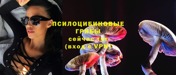 мдпв Ростов