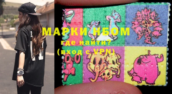 индика Приозерск