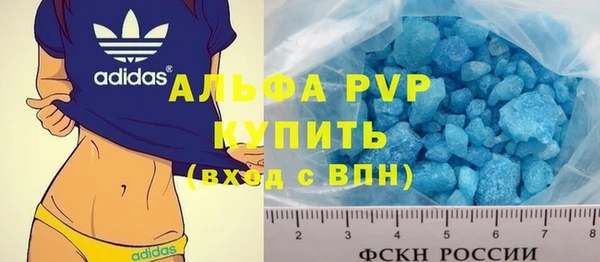 индика Приозерск