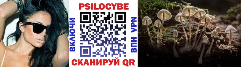 Галлюциногенные грибы MAGIC MUSHROOMS  Купить  Кандалакша 